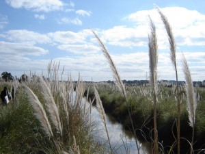 Una zona de gran riqueza en cuanto a la biodiversidad, que se ve amenazada por el avance del hombre.