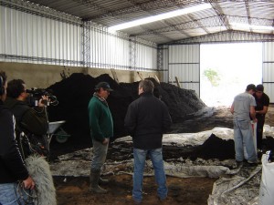 En este galpón, Fachín y sus empleados embolsan el sustrato que venden a otros viveros y productores. 