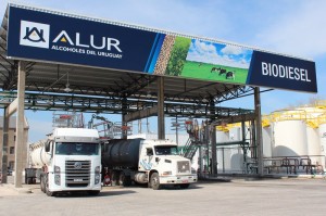 La nueva planta de biodiesel en Capurro. Es de última generación y no produce efluentes. 